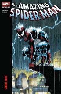 bokomslag Amazing Spider-Man Modern Era Epic Collection: Coming Home