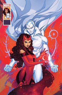 bokomslag The Vision & the Scarlet Witch