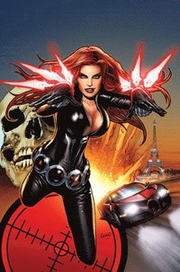 bokomslag Black Widow Modern Era Epic Collection: Widowmaker