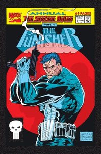 bokomslag Punisher Epic Collection: Survival
