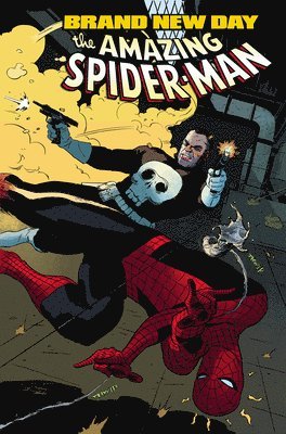 Zeb Wells, Mark Waid, Dan Slott - Spider-Man: Brand New Day, Häftad
