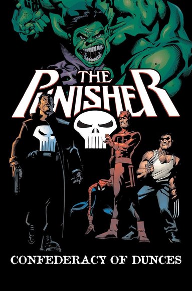 Garth Ennis - Punisher: Confederacy Of Dunces, Häftad