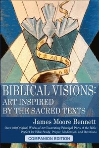 bokomslag Biblical Visions