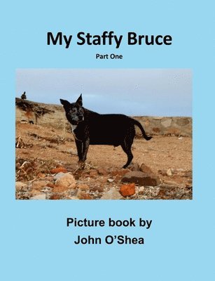 John O'Shea - My Staffy Bruce, Häftad
