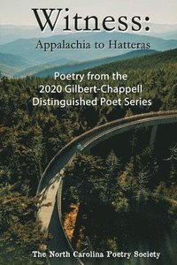 bokomslag Witness 2020 - Poems from the NC Poetry Society's Gilbert-Chappell Distinguished Poet Series