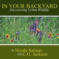 bokomslag In Your Backyard: Discovering Urban Wildlife