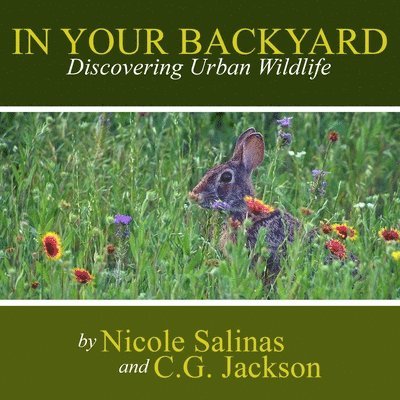 C.G. Jackson, Nicole Salinas, C. G. Jackson - In Your Backyard: Discovering Urban Wildlife, Häftad