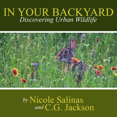 In Your Backyard: Discovering Urban Wildlife 1