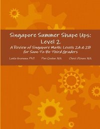 bokomslag Singapore Summer Shape Ups