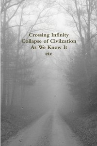 bokomslag Crossing Infinity - Collapse of Civilzation As We Know It Etc