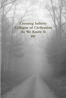 bokomslag Crossing Infinity - Collapse of Civilzation As We Know It Etc