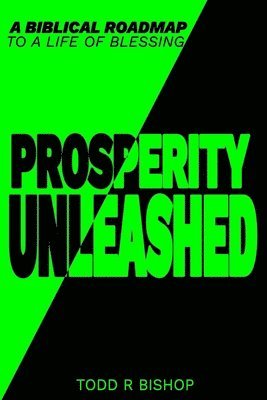 bokomslag Prosperity Unleashed