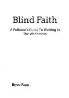 Blind Faith 1