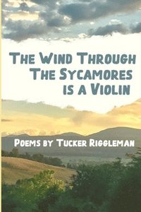 bokomslag The Wind Through the Sycamores is a Violin