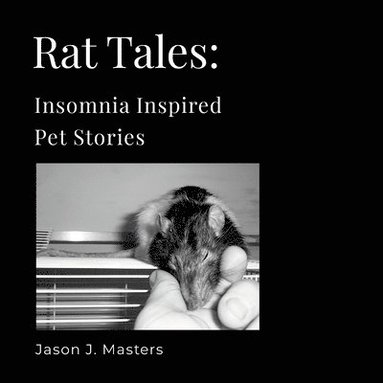 bokomslag Rat Tales