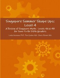 bokomslag Singapore Summer Shape Ups