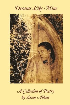 Leesa Abbott - Dreams Like Mine, Häftad