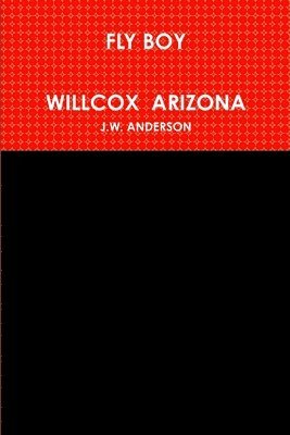 bokomslag Fly Boy Willcox Arizona