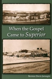 bokomslag When the Gospel Came to Superior