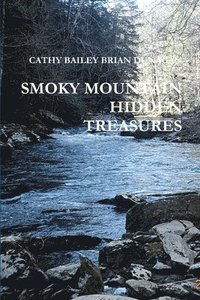 bokomslag Smoky Mountain Hidden Treasures