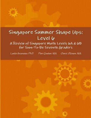 bokomslag Singapore Summer Shape Ups