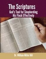 bokomslag Scriptures