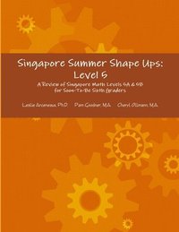 bokomslag Singapore Summer Shape Ups