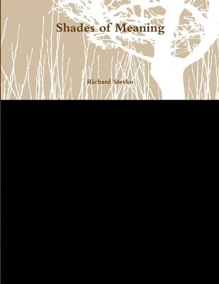 Richard Stevko - Shades of Meaning, Häftad