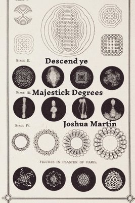 bokomslag Descend ye Majestick Degrees