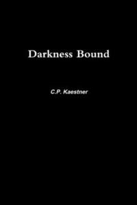 bokomslag Darkness Bound