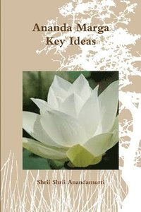 bokomslag Ananda Marga Key Ideas