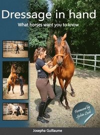 bokomslag Dressage in hand