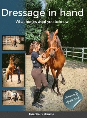 bokomslag Dressage in hand