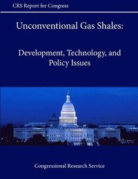 bokomslag Unconventional Gas Shales: Development, Technology, and Policy Issues