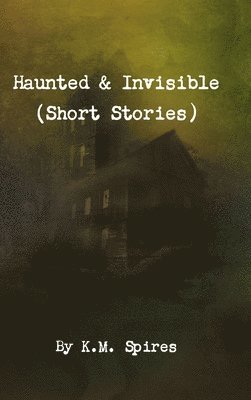 bokomslag Haunted & Invisible (Short Stories)