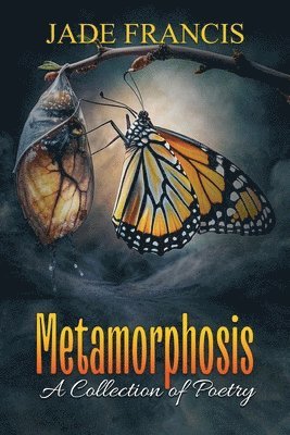 bokomslag Metamorphosis