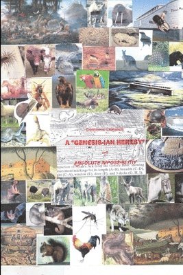 Creationist Literalism a "Genesis-Ian" Heresy