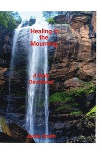 bokomslag Healing In The Mourning