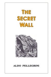 bokomslag Secret Wall