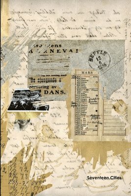Scott Stambach - Seventeen Cities, Häftad