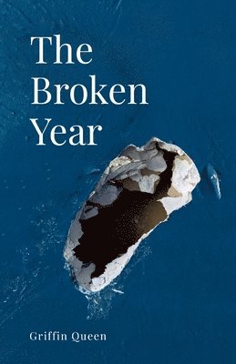 bokomslag The Broken Year