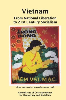 bokomslag Vietnam: From National Liberation to 21st Century Socialism