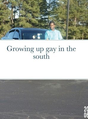 bokomslag Growing up gay in the south