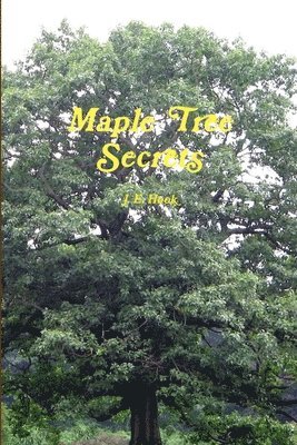 bokomslag Maple Tree Secrets