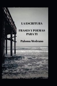 bokomslag Escritura