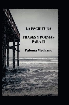 bokomslag Escritura
