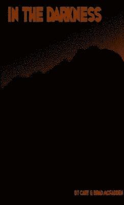 bokomslag In the Darkness