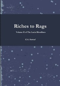 bokomslag Riches to Rags