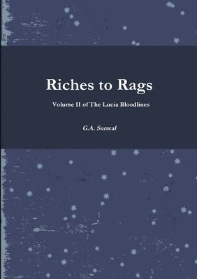 bokomslag Riches to Rags