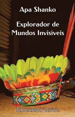 Explorador de Mundos Invisveis 1